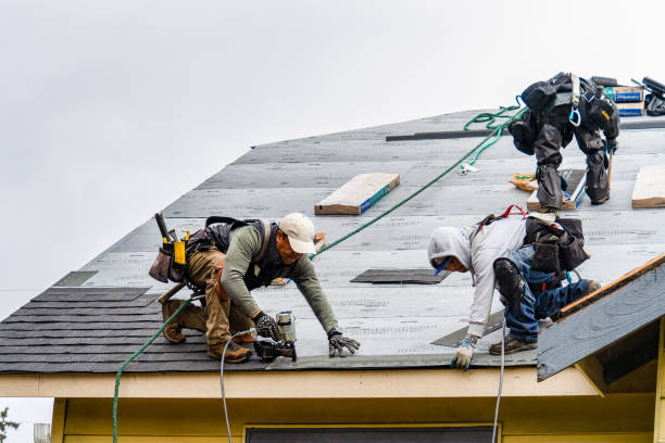 Professional Storm Damage Roof Repair technician working in Lakeville, NY